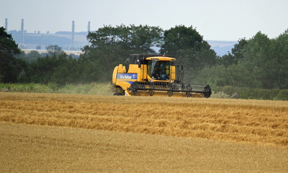 Day Farms